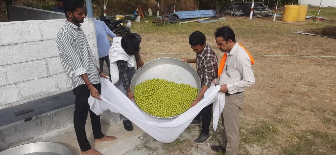 Chwanaprashana Preparation